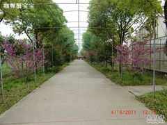 -苏州太湖西山岛开心农场