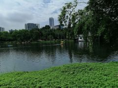 -晓港公园