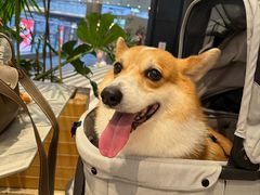 -一坐一忘云南菜(卓悦中心)