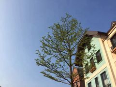 -美的鹭湖森林度假区