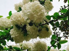 -白塘生态植物园