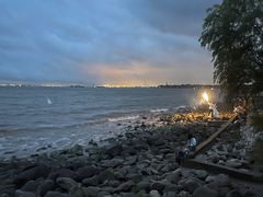 -上海吴淞炮台湾国家湿地公园