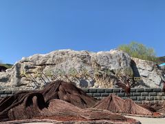 -北京西山国家森林公园