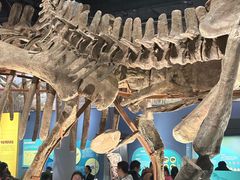 -国家自然博物馆