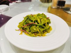 -凯鸽酒楼•雁北民间菜(华北星店)