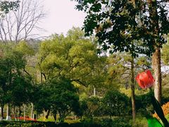 -杭州花家山庄
