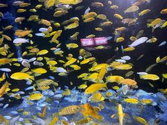 -成都浩海立方海洋公园