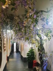 -盘子女人坊生日照·摄影馆(华强店)