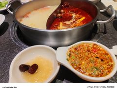 -蓉客成都火锅·招牌麻辣牛杂·特色香辣蹄花(凌水店)