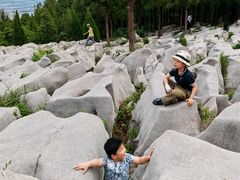 -原山国家森林公园