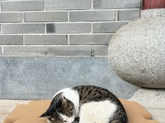 -韬光茶庵