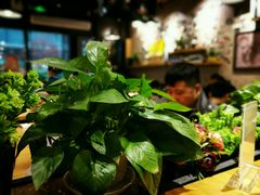 -车沾巷·重庆老味豌杂面