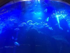 -OPEN開全日自助餐厅·牛肉火锅·海鲜(佛山希尔顿酒店)