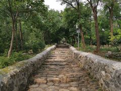 -阳台山自然风景区