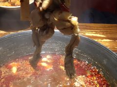 -老天桥蛙炉火锅(姑苏总店)