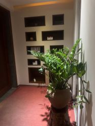 -禾颜社·精致美容