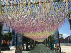 -厦门方特梦幻王国