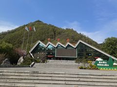 -牛背梁国家森林公园
