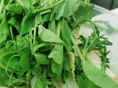 -草原牧羊人(圣菲悦城店)