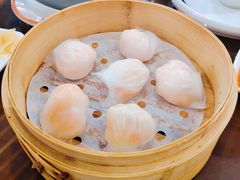 喜喜鲜虾饺-喜喜酒家·纯手工点心·粤菜