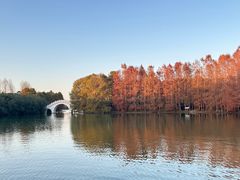 -上海海湾国家森林公园