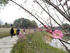 -韩湘水博园