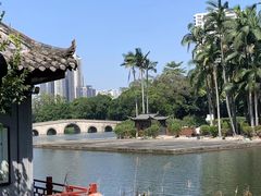 -荔湾湖公园