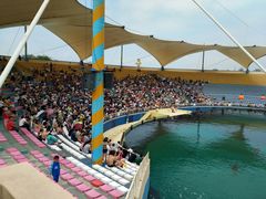 -秦皇岛乐岛海洋王国