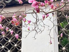 -上海醉白池公园