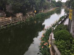 -黄埔古港