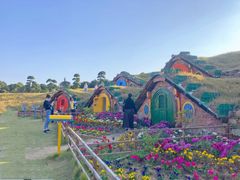 -武汉紫薇都市田园