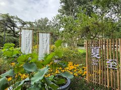 -莲花池公园