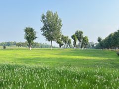 -汉长安城未央宫国家考古遗址公园