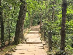-青城山