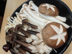 -顺德公广东猪肚鸡·煲仔饭(白石洲店)