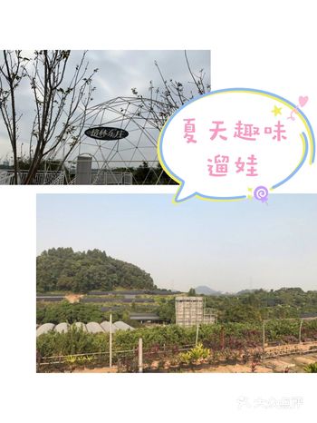 夏日趣味遛娃，格林东庄