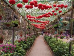 -北海金海湾红树林生态旅游区