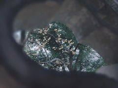 -拙政园