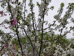 -太阳宫公园