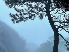 -玉苍山国家森林公园