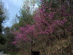 -宝岩生态观光园