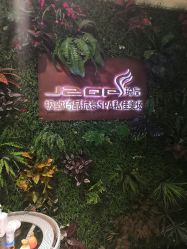 -琦品高端美容SPA会所