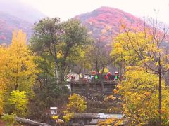 -南窖乡水峪村山情农家