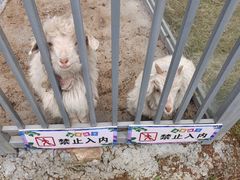 -南湾湖