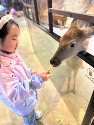 -酷嗒动物文化乐园(cutezoo西溪乐天城店)