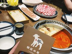 -快乐小羊(富强中路店)