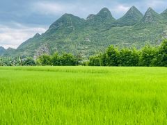 -万峰林风景区