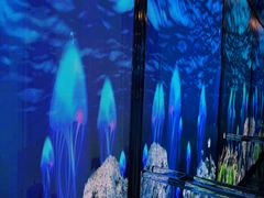 -碧涛阁·泡泡海洋·汤泉洗浴(王府花园店)