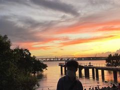 -宝安西湾红树林湿地公园