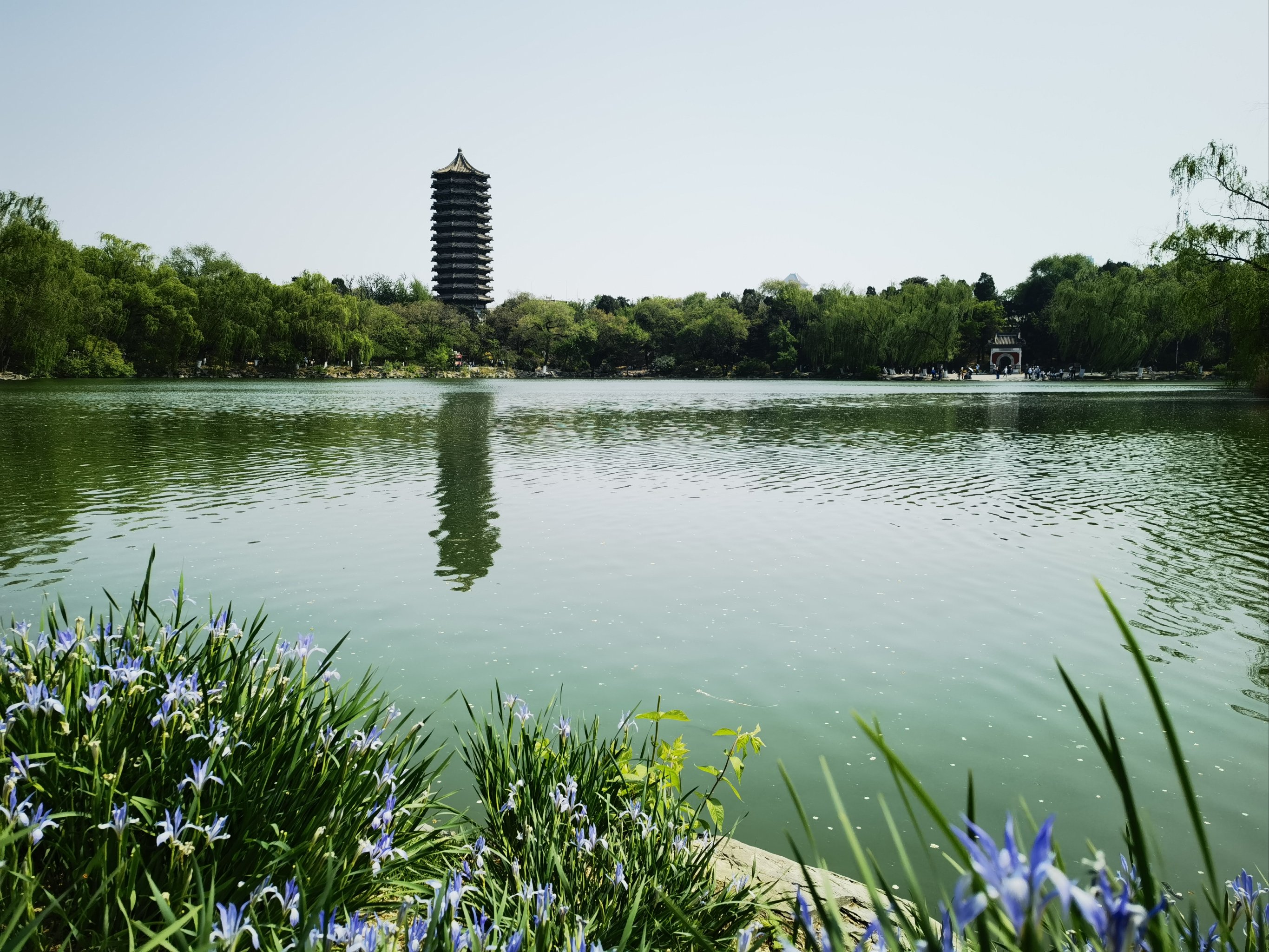 电脑桌面春天风景图片